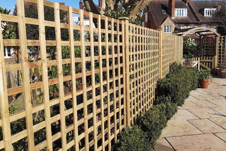 standard trellis