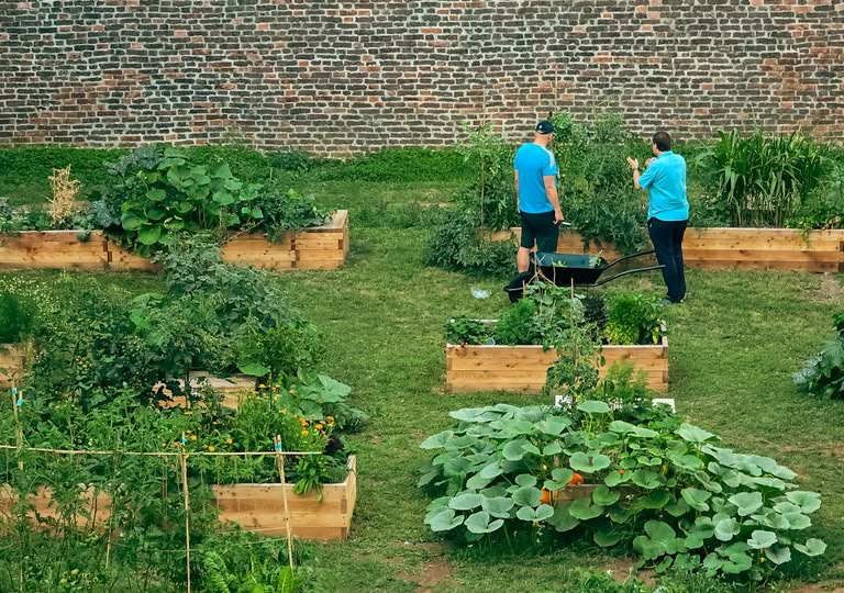 Timber raised beds on a shared growing site